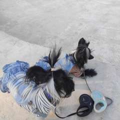 Фото отзыва 9730296