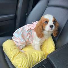 Фото отзыва 10174123