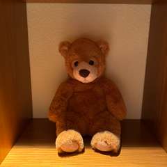 Фото отзыва 10981496