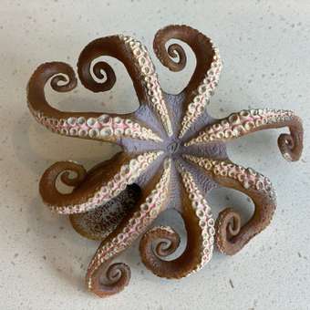 Фигурка Collecta Осьминог: отзыв пользователя Детский Мир