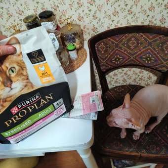 Корм сухой для кошек PRO PLAN DELICATE DIGESTION 1.5 кг с курицей для стерилизованных: отзыв пользователя. Зоомагазин Зоозавр