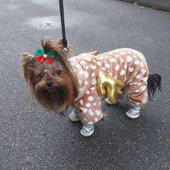 Фото отзыва 10499994