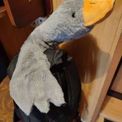 Фото отзыва 4875714