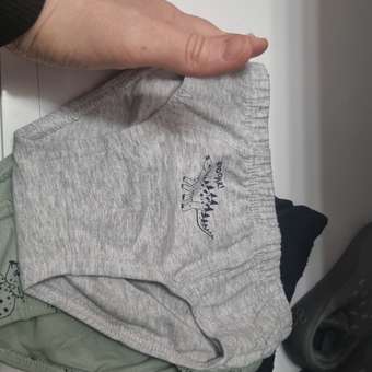 Трусы 3 шт Futurino: отзыв пользователя Детский Мир