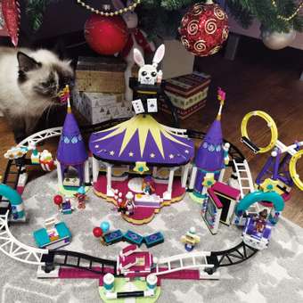 Конструктор LEGO Friends Американские горки 974 дет.: отзыв пользователя Детский Мир