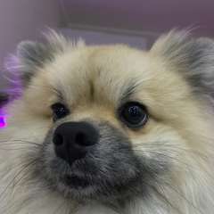 Фото отзыва 10740637