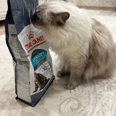 Фото отзыва 10571852