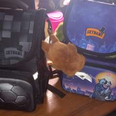 Фото отзыва 11061887