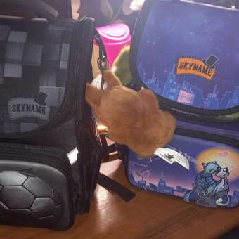 Ранец SkyName: отзыв пользователя Детский Мир