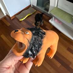 Фото отзыва 10954426