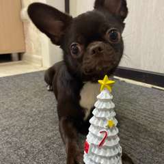 Фото отзыва 10799417