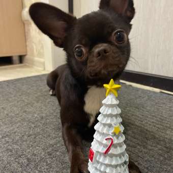 Игрушка для собак Triol New Year Елочка 14.5см: отзыв пользователя. Зоомагазин Зоозавр