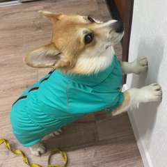 Фото отзыва 3913147