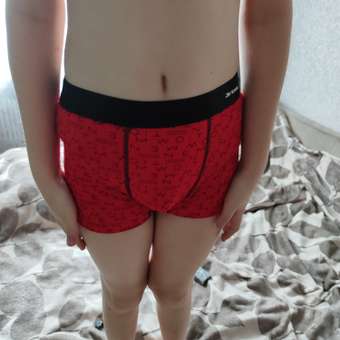 Трусы 4 шт Jim Hussey: отзыв пользователя Детский Мир