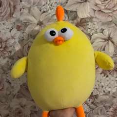 Фото отзыва 10476167