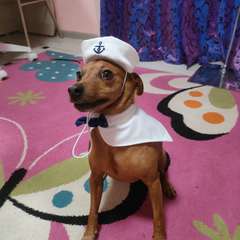 Фото отзыва 10626305