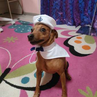 Костюм Зоозавр Морячок: отзыв пользователя. Зоомагазин Зоозавр