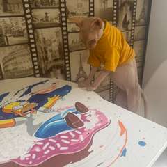 Фото отзыва 9758498