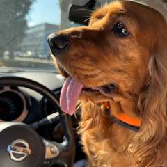 Фото отзыва 10745499