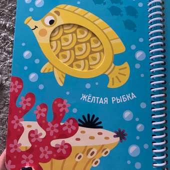 Книжка на спирали Malamalama Волшебные превращения. Буль-буль. Крабик и его друзья: отзыв пользователя Детский Мир