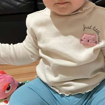 Водолазка Baby Go Trend: отзыв пользователя Детский Мир