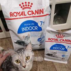 Фото отзыва 10690658