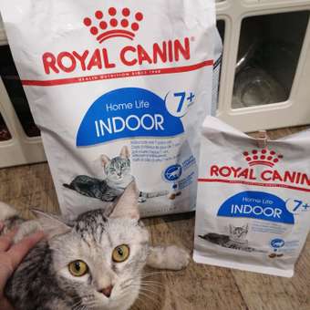 Корм сухой для кошек ROYAL CANIN Indoor 1.5кг пожилых кошек постоянно проживающих в помещении: отзыв пользователя. Зоомагазин Зоозавр