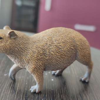 Фигурка Collecta Капибара: отзыв пользователя Детский Мир