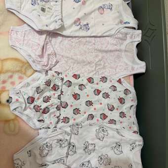 Трусы 5 шт Тёмка37: отзыв пользователя Детский Мир