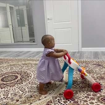 Ходунки BabyGo Активити: отзыв пользователя Детский Мир