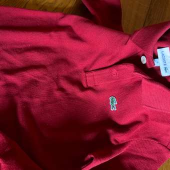 Рубашка-поло Lacoste: отзыв пользователя Детский Мир