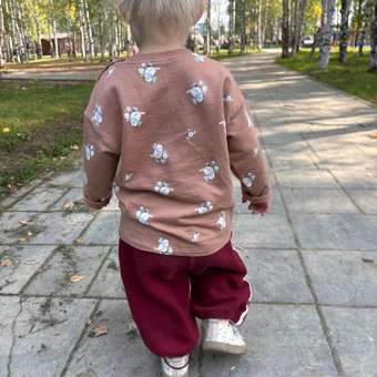 Лонгслив BabyGo: отзыв пользователя Детский Мир