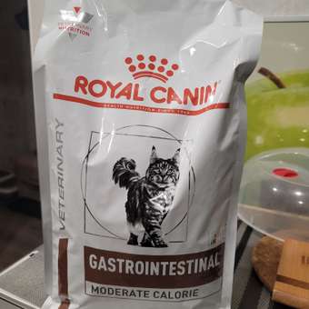 Корм для кошек ROYAL CANIN Veterinary Diet Gastrointestinal Moderate Calorie GIM 35 Feline при расстройствах пищеварения 2кг: отзыв пользователя. Зоомагазин Зоозавр