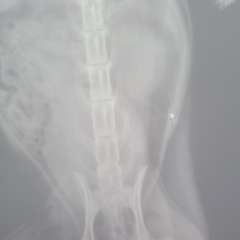 Фото отзыва 10798896