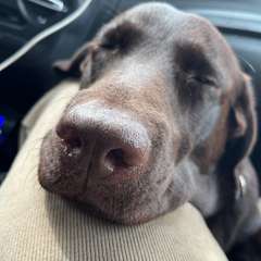 Фото отзыва 10488545