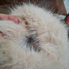 Фото отзыва 10873905