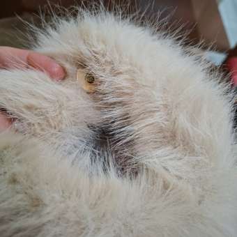 Сумка Futurino: отзыв пользователя Детский Мир