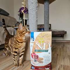 Фото отзыва 10748153