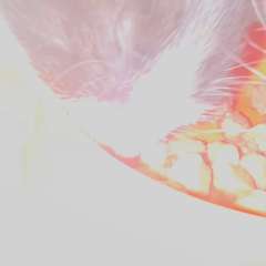 Видео отзыва 12020978