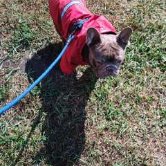 Фото отзыва 10431568