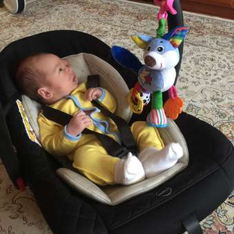 Автокресло Happy Baby Skyler 0 (0 -13 кг) черный: отзыв пользователя Детский Мир