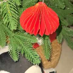 Видео отзыва 8334298