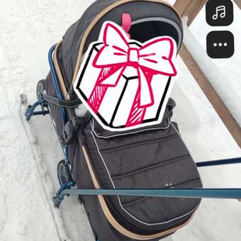 Санки NiKA kids Тимка 6 универсал морской лак: отзыв пользователя Детский Мир