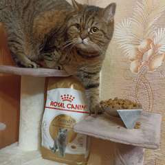 Фото отзыва 10759382