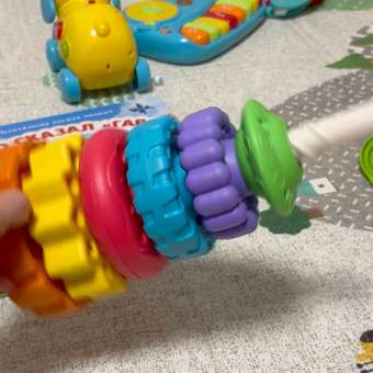 Игрушка ZEBRA пирамидка: отзыв пользователя Детский Мир