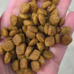 Фото отзыва 10347592