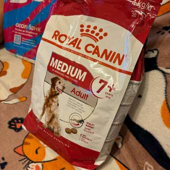Корм ROYAL CANIN 4кг для пожилых собак средних размеров 11-25кг: отзыв пользователя. Зоомагазин Зоозавр