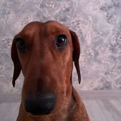 Фото отзыва 10741097