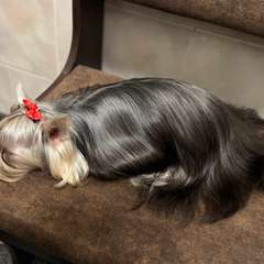 Фото отзыва 11266826