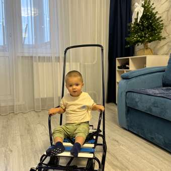 Санки NiKA kids Тимка 6: отзыв пользователя ДетМир